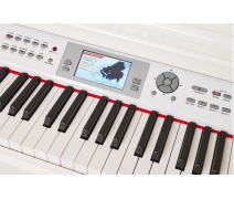 VALLER MG300 Dijital Kuyruklu Piyano
