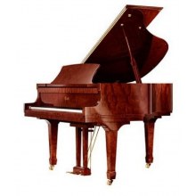 Essex EGP-155 C Mahogany High Polish