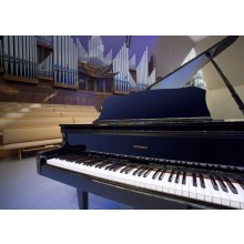 Roland GP 609 PE Dijital Piyano