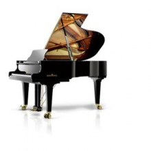 Schimmel K 195 Tradition Parlak Maun Kuyruklu Piyano