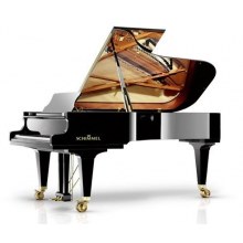 Schimmel K 280 Tradition Parlak Siyah Kuyruklu Piyano