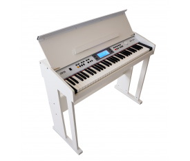 Jwin Jdp-950 61 Tuş Hassasiyetli Dijital Piyano