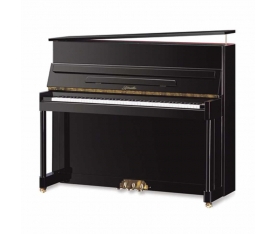Sderway Akustik Duvar Piyanosu